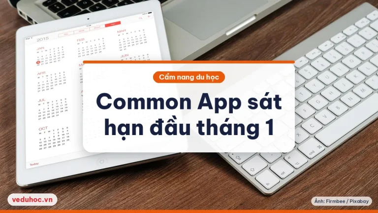 Nộp Common App sát hạn 1/1 và 15/1: múi giờ, bảng điểm và phí
