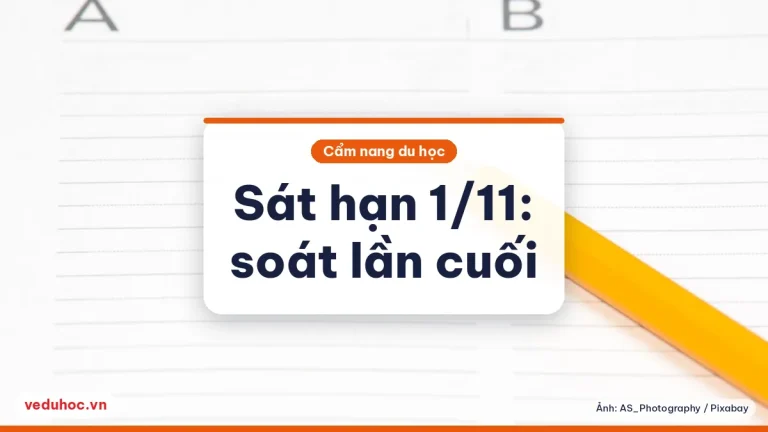 Nộp ED, EA sát hạn 1/11: kiểm lần cuối hồ sơ và phần tài chính