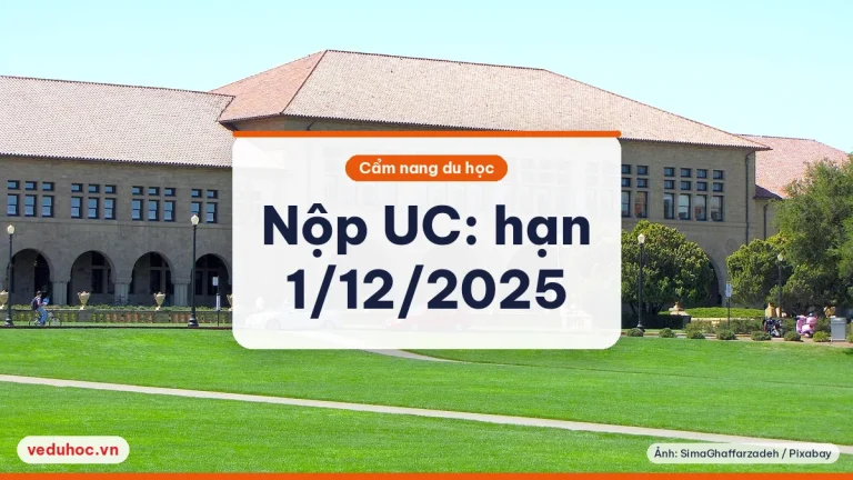 Nộp hồ sơ University of California: hạn 1/12/2025, phí, PIQ, tiếng Anh