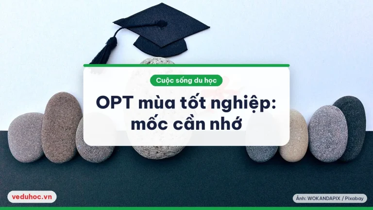 OPT mùa tốt nghiệp 2025: nộp I-765 đúng hạn và đếm 90 ngày thất nghiệp
