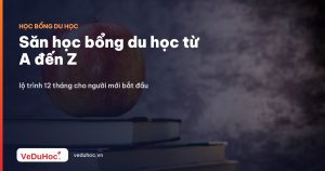 Săn học bổng du học từ A đến Z: lộ trình 12 tháng cho người mới bắt đầu