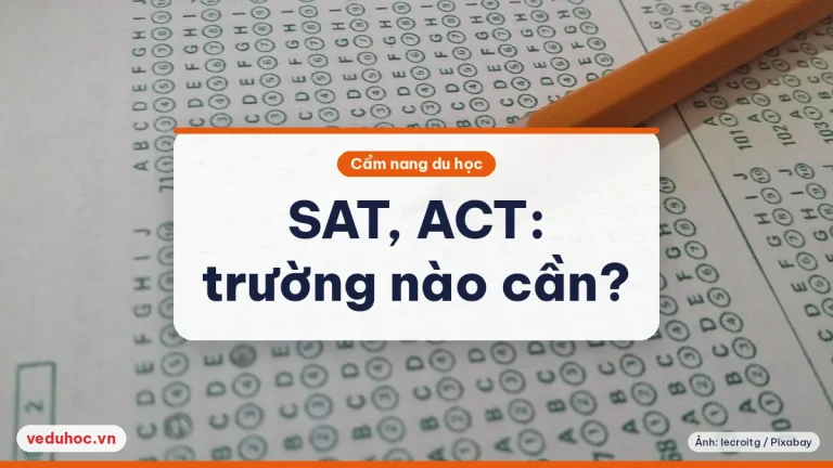 SAT, ACT khi nộp đại học Mỹ 2025-26: trường nào bắt buộc?