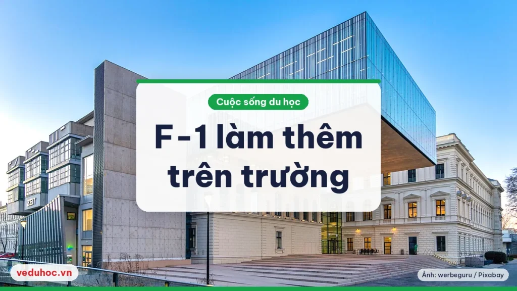 Hè đầu tiên ở Mỹ: sinh viên F-1 làm thêm trên trường và xin SSN