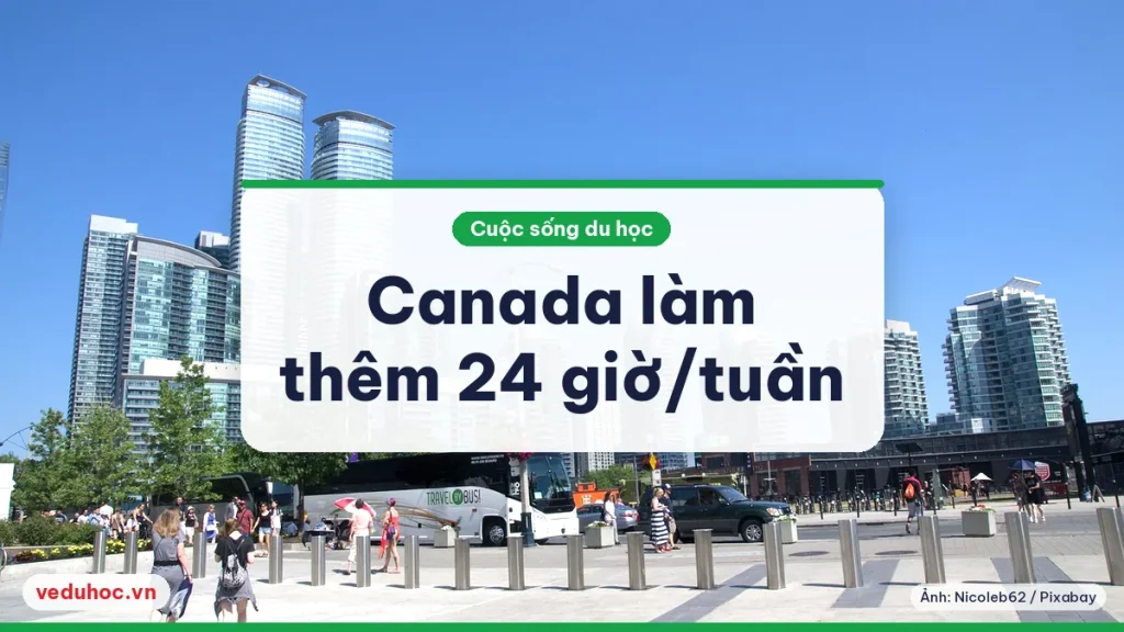 Ảnh minh hoạ chủ đề sinh viên quốc tế Canada làm thêm 24 giờ