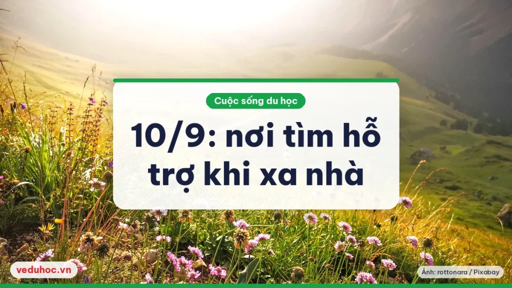 Con đường mòn giữa thung lũng cỏ hoa dưới ánh sáng dịu, gợi cảm giác hy vọng và bước tiếp