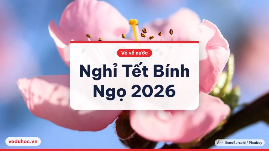 Ảnh minh hoạ chủ đề Tết Bính Ngọ 2026