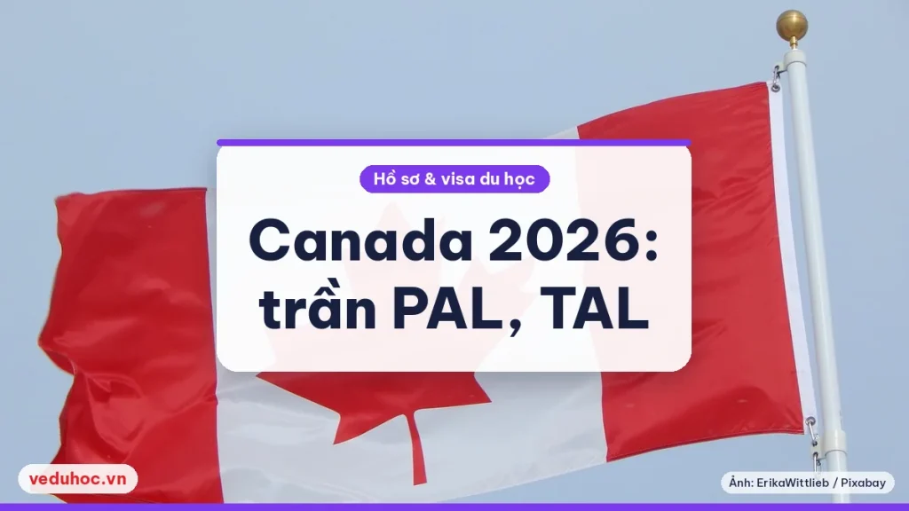 Lá cờ Canada tung bay trên nền trời xanh