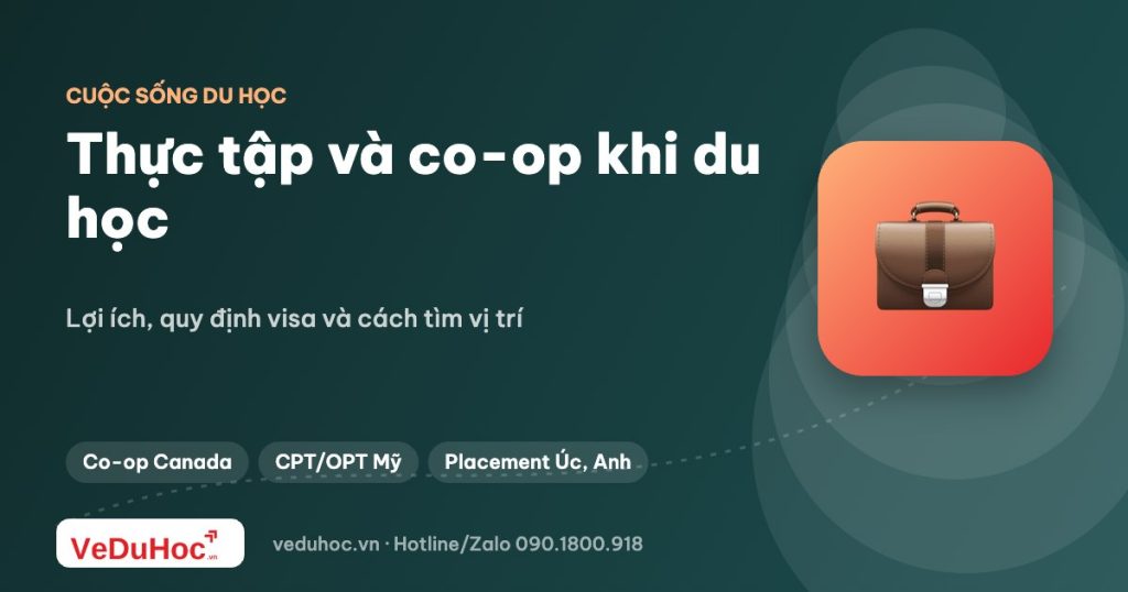Thực tập và co-op khi du học: lợi ích và cách tìm