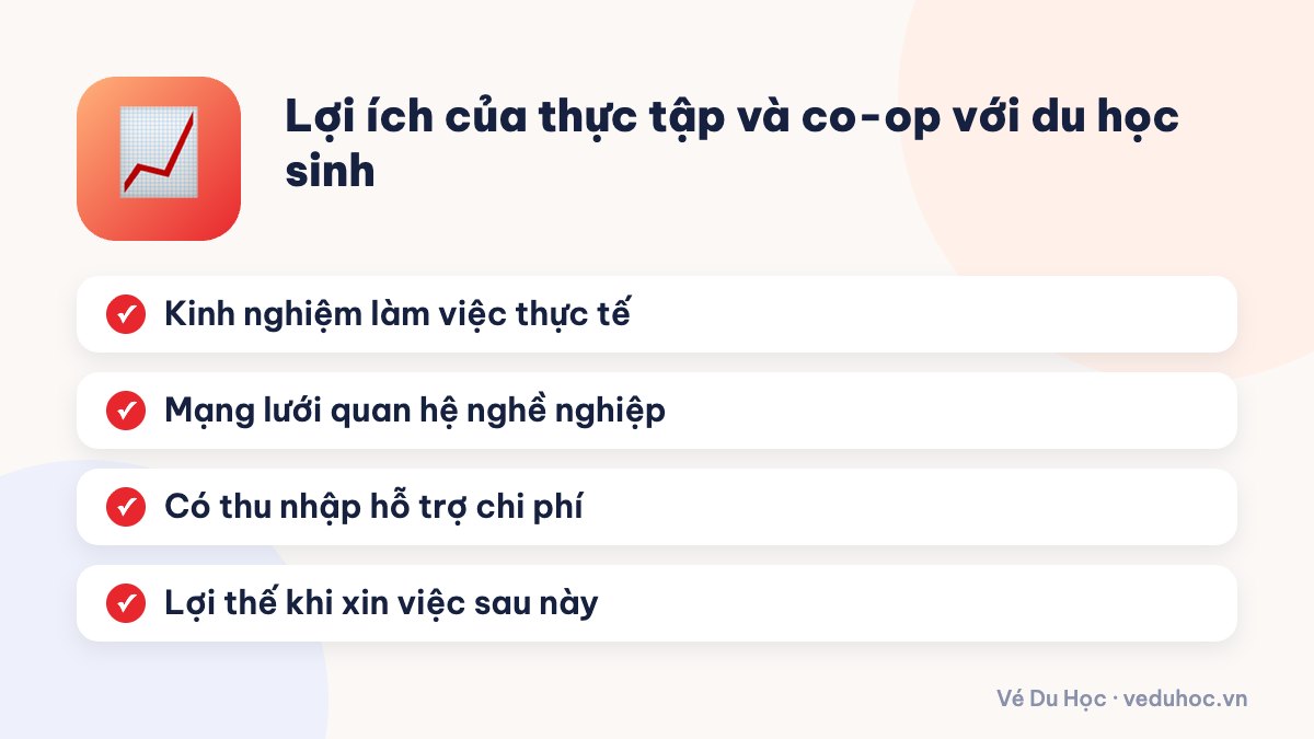 Lợi ích của thực tập và co-op với du học sinh