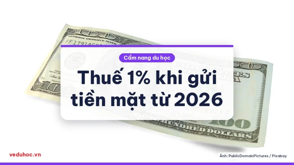 Tờ tiền đô la Mỹ đặt trên nền trắng, minh hoạ khoản chuyển tiền ra nước ngoài