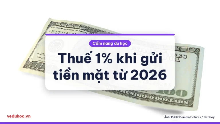 Thuế 1% khi gửi tiền mặt ra nước ngoài từ 2026: du học sinh ở Mỹ