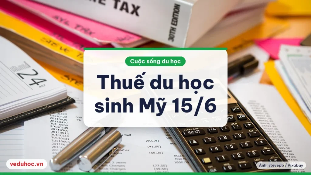Ảnh minh hoạ chủ đề thuế du học sinh Mỹ Form 8843