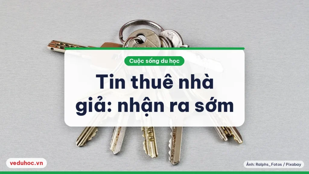 Chùm chìa khóa nhiều kiểu đặt trên nền xám sáng, gợi việc thuê nhà và nhận chìa