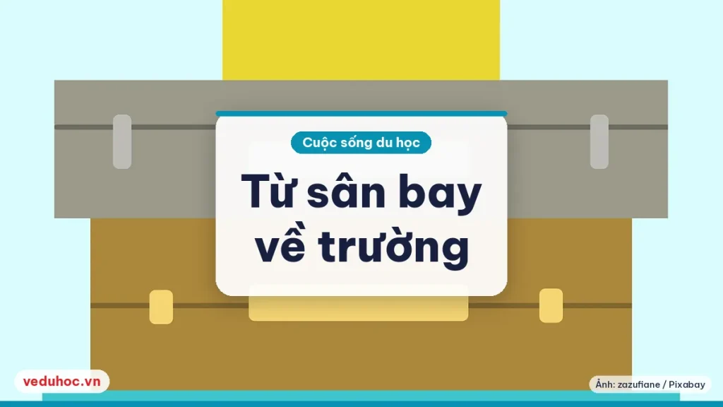 Từ sân bay về trường: các cách di chuyển ở sân bay lớn nước ngoài