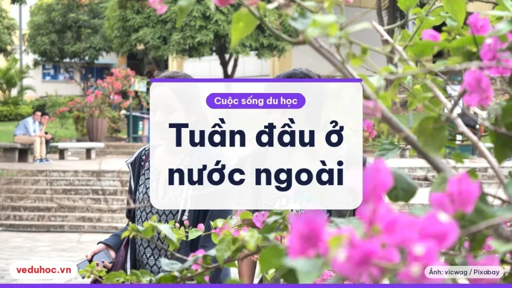 Hai du học sinh trò chuyện trong khuôn viên có hoa, gợi tuần đầu làm quen nơi mới