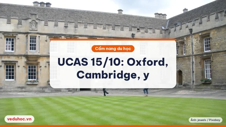 UCAS hạn 15/10/2025: Oxford, Cambridge, y, nha, thú y cần biết gì