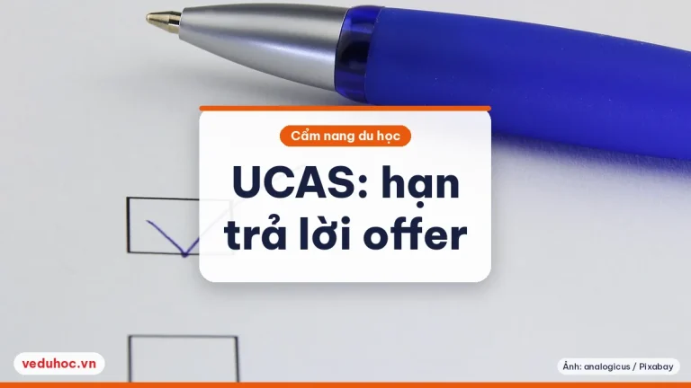 UCAS 2025: hạn trả lời offer 5/6 và 23/7, chọn firm và insurance