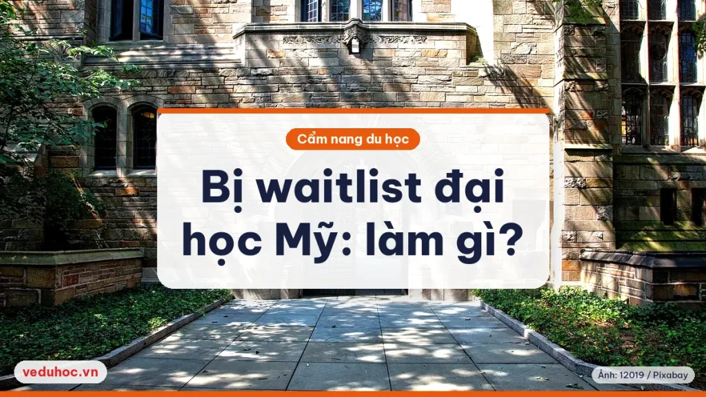 Ảnh minh hoạ chủ đề waitlist đại học Mỹ