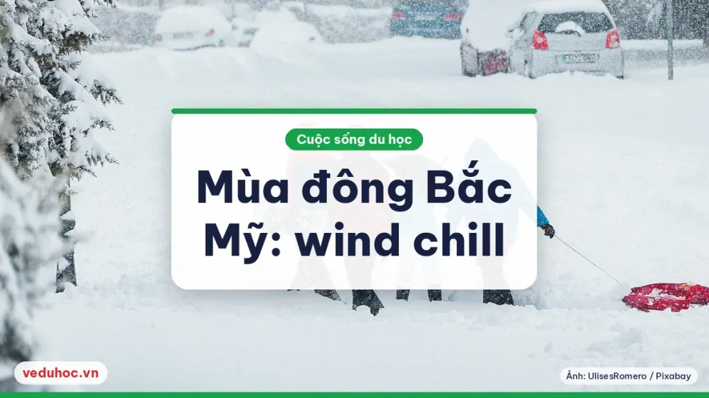 Ảnh minh hoạ chủ đề wind chill du học sinh
